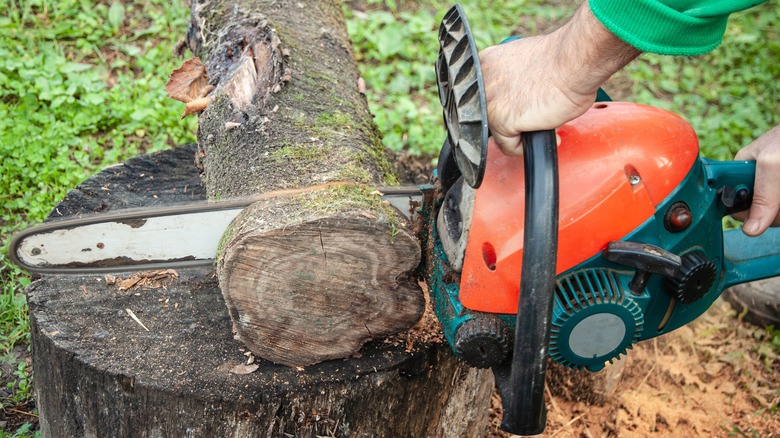 Man cutting rounds from a tree trunk using a chainsaw.