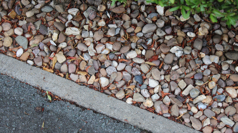 A concrete driveway with stone edging and vegetation