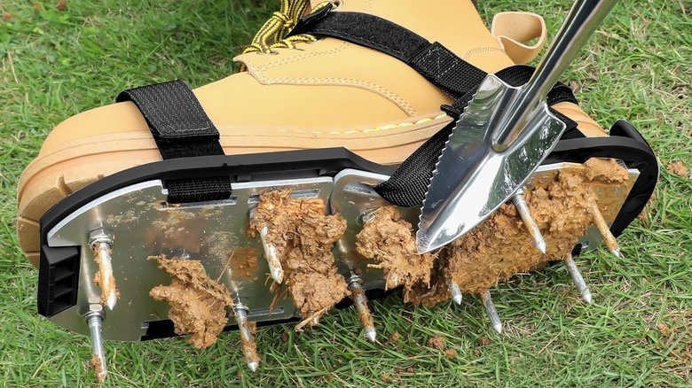 Lawn aerator shoe spikes are attached to a pair of tan work boots