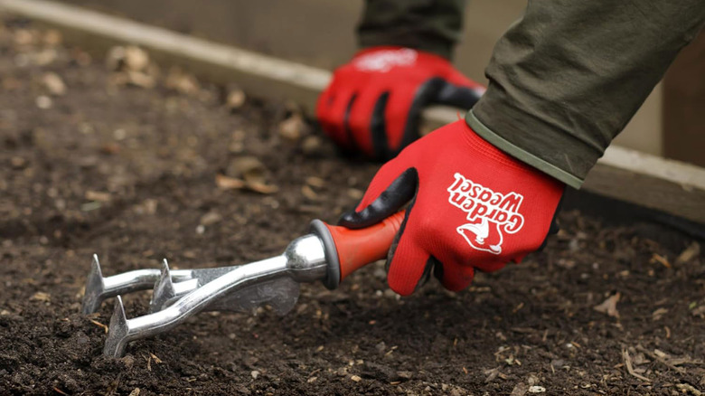 A person wearing red gloves aerates soil with a Garden Weasel double-sided cultivator