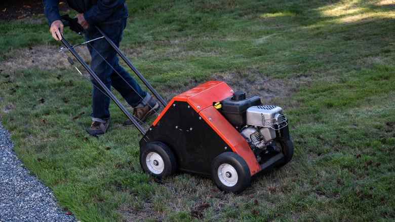 A person uses a push-behind aerator on a green lawn