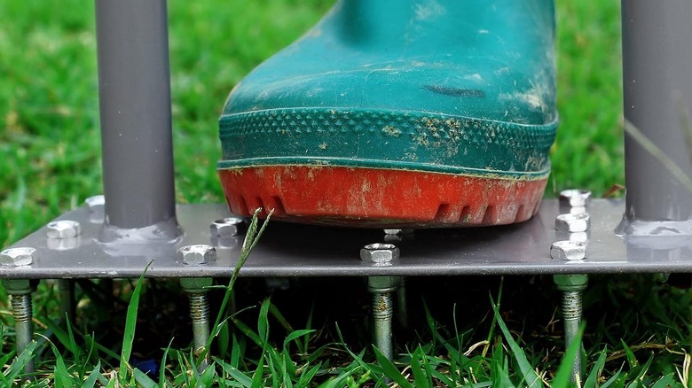 A gardening boot steps on a Walensee lawn aerator tool to press spikes into the grass