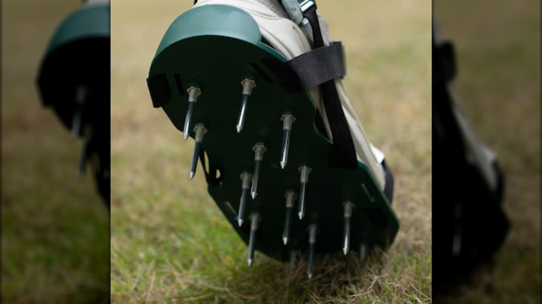 Person using Gardenised Lawn Aerator on their lawn.