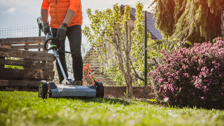 Person using a lawn aerator.