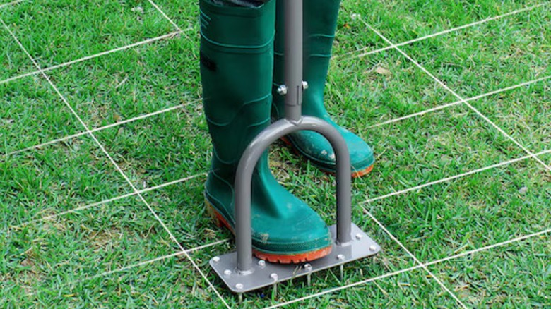 Person using the Walensee Steel Spike Aerator on their lawn.