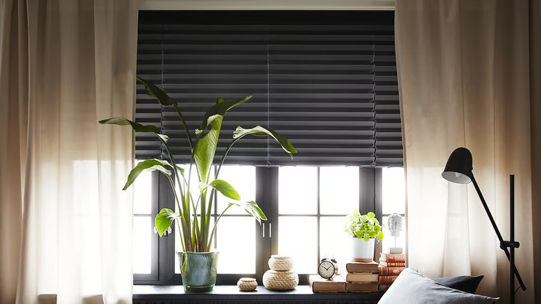 A window with plants, books, and other decor on the window sill and a pleated black IKEA SCHOTTIS blackout blind in the window
