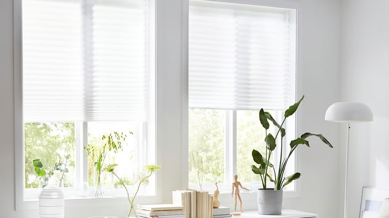 SCHOTTIS Pleated shade