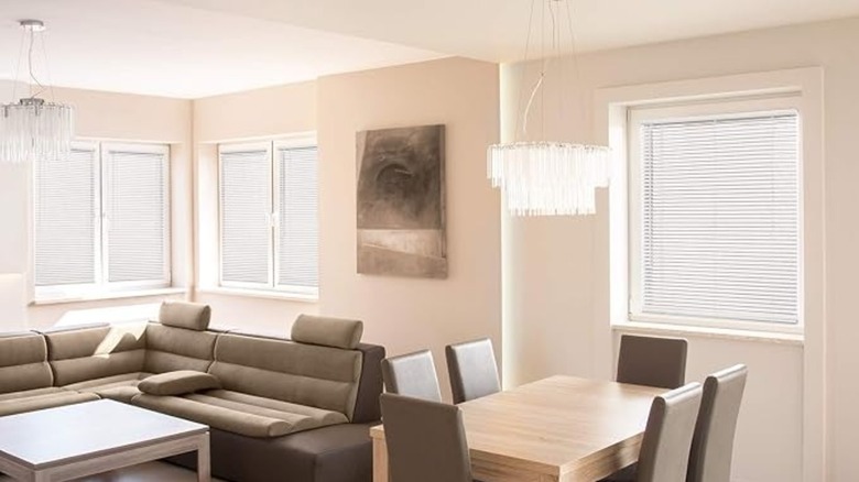 Chicology Cordless Mini Blinds