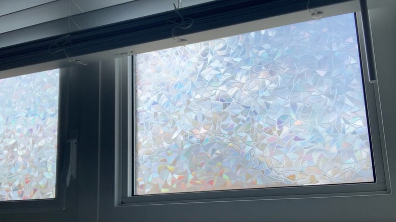 rabbitgoo Rainbow Window Privacy Film