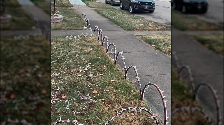 An old garden hose cut into sections, arched, and wrapped in string lights