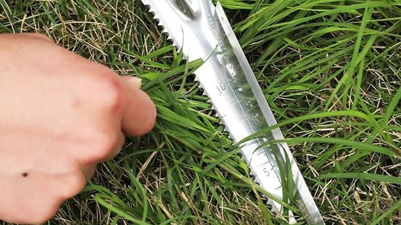 A person using the Workpro 5-in-1 Hand Weeder.