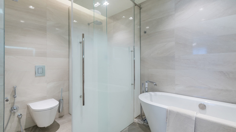 Shower with a frosted shower door