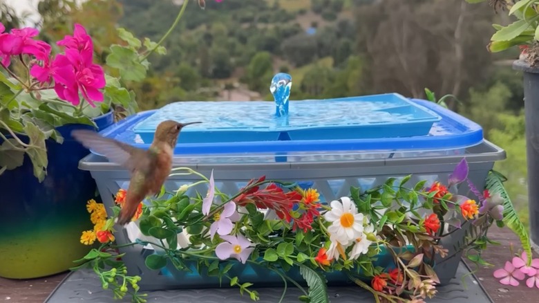 DIY fountain birdbath from plastic container