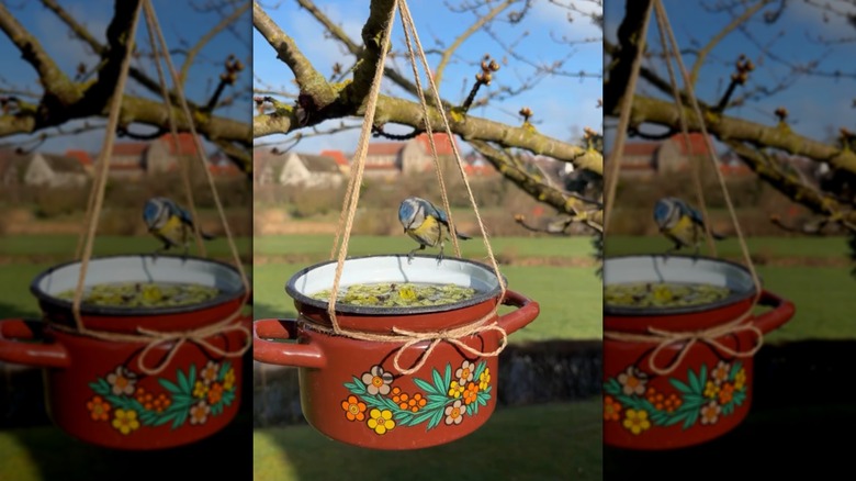 A hanging birdbath made from an enamel cooking pot