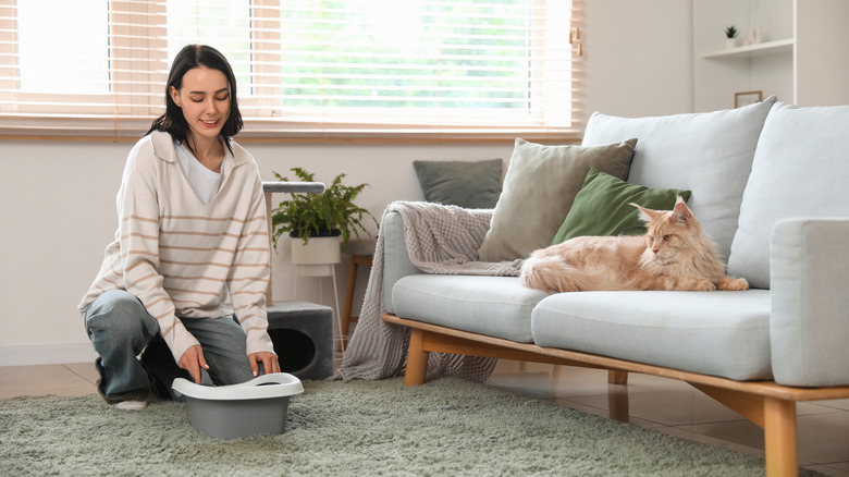 Young woman looking for a spot to place litterbox in living room while cat lounges on couch