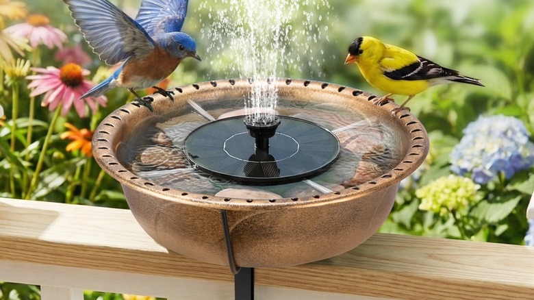 Specstar Deck Mounted Bird Bath on deck railing with birds perched on edge