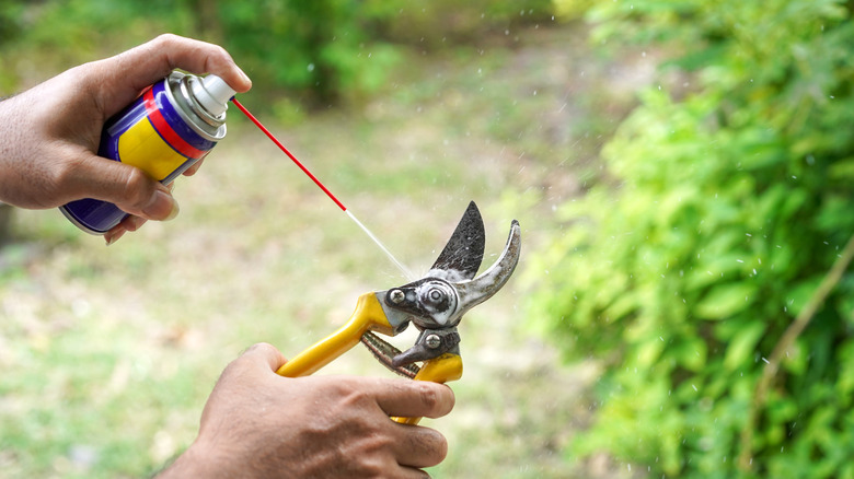 Person using a WD-40 like lubricant on pruning shears