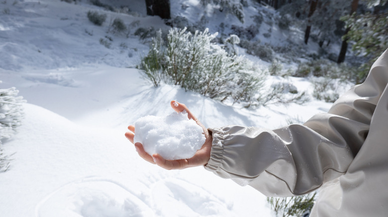 a person in winter wear with snow in bare hand and fresh snowfall in the background