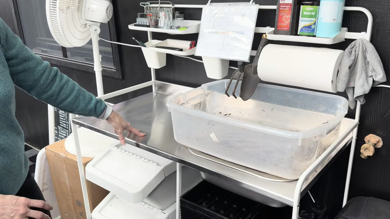 Gardener Transforms IKEA Kitchen Find Into Genius Potting Station With Built-In Storage