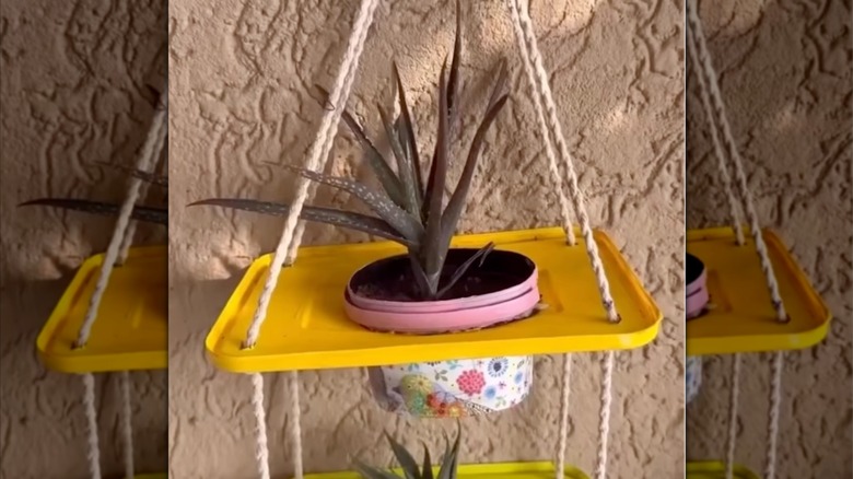 Yellow DIY hanging planter with succulents