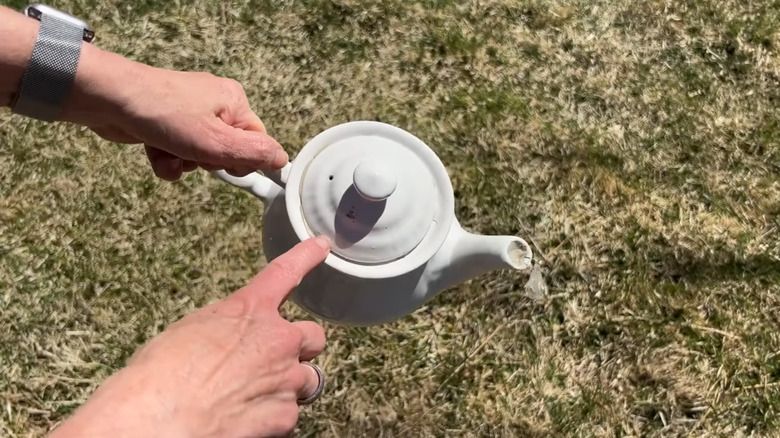 Person holds a white tea pot outside in the yard