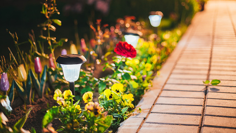 Solar garden lights by a walkway at night.