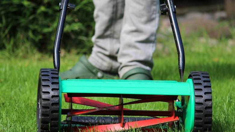 Person cutting the grass with a manual push mower