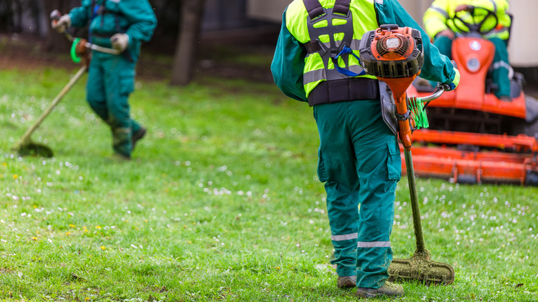 Three landscapers use gas-powered tools to maintain a yard