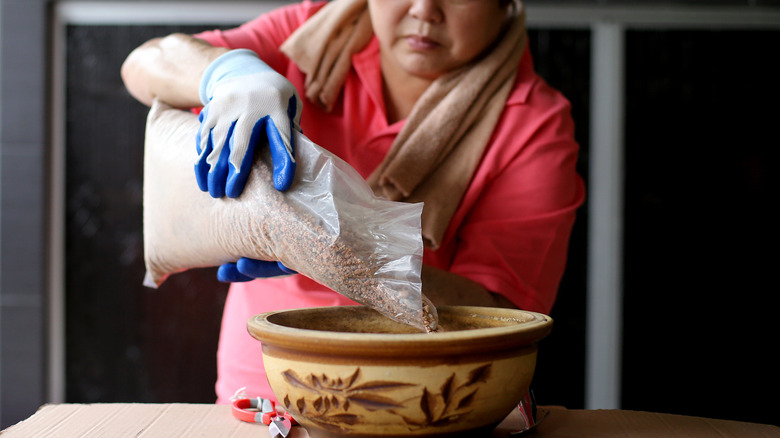 woman pouring gravel into pot