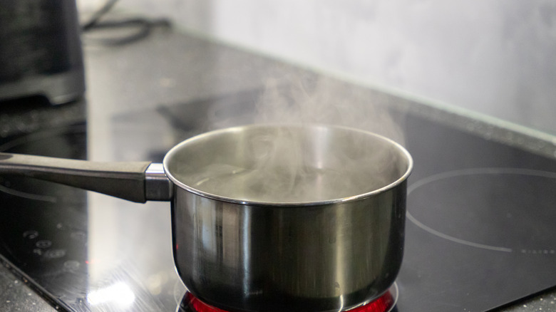 Pan of water boiling on a stove