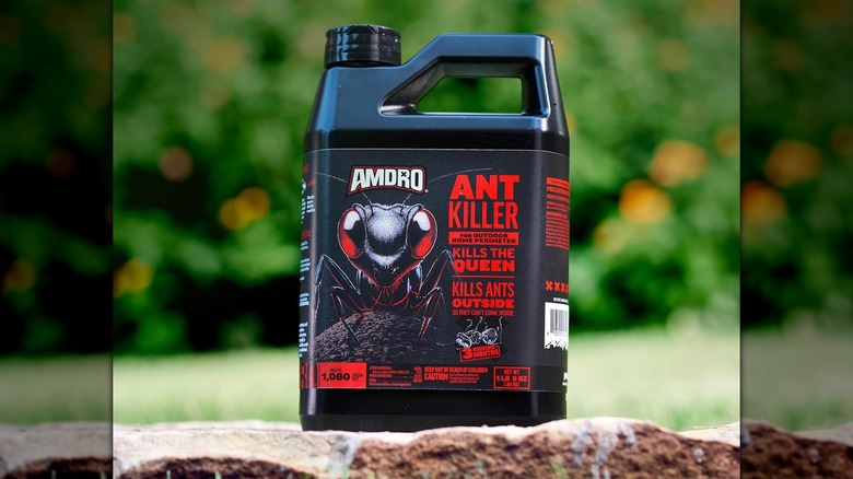 A bottle of Amdro Ant Killer for Outdoor Home Perimeter on the grass outside