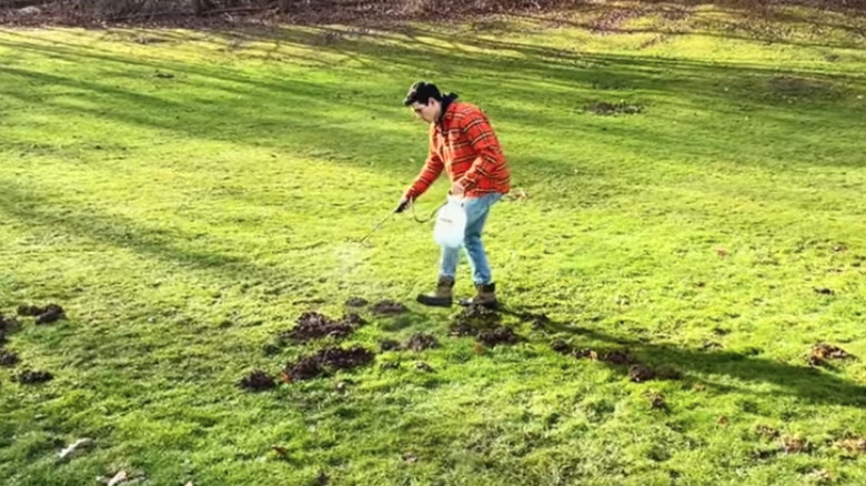 A worker sprays a castor oil mix on molehills