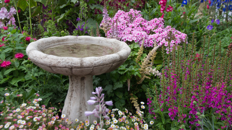 A bird bath sits in a garden surrounded by colorful blooms in pinks and purples