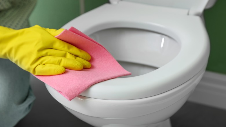 a person cleans a toilet with a cloth