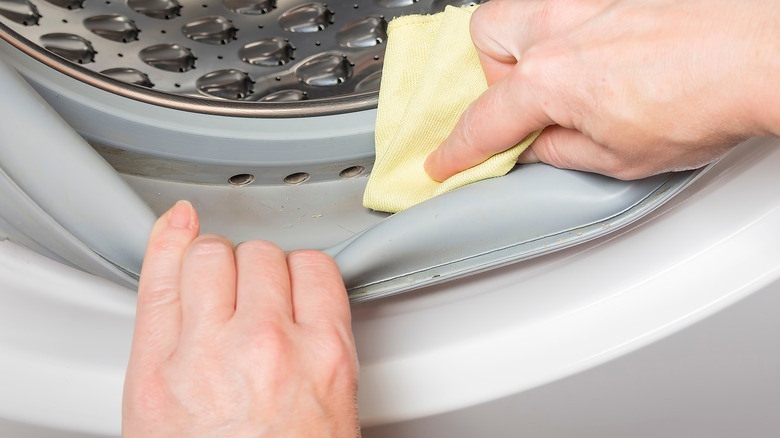 Hands of someone cleaning their washing machine gasket