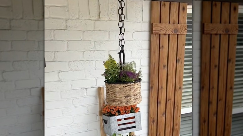 A hanging planter outdoors in front of a ladder