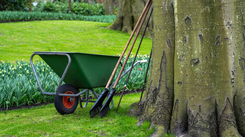 A green wheelbarrow with lawn care equipment by a tree in a garden