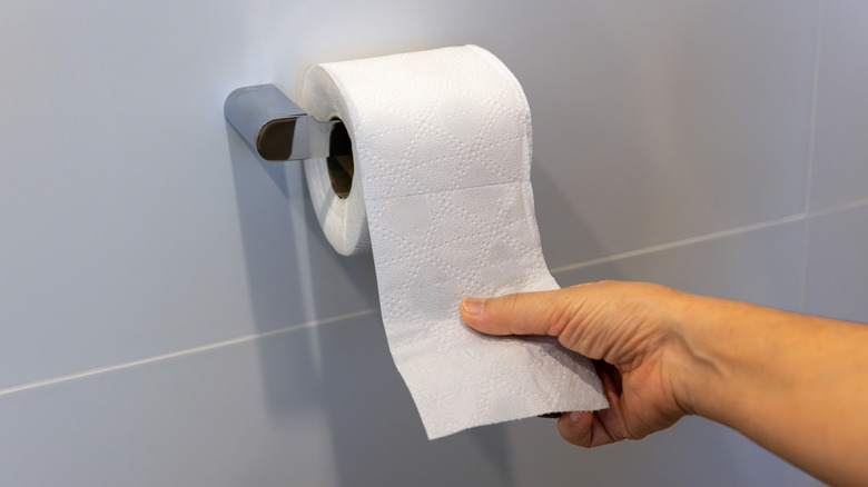 Person pulling on roll of toilet paper