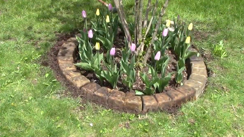 A ring of concrete edging around a small flower bed.