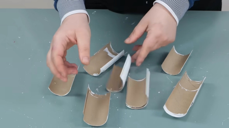 Person spreading out cut up toilet paper tubes