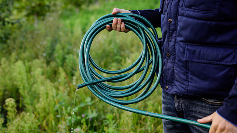 Person rolling up a garden hose
