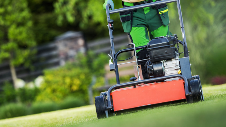a Landscaper aerating a lawn with a gasoline aerator
