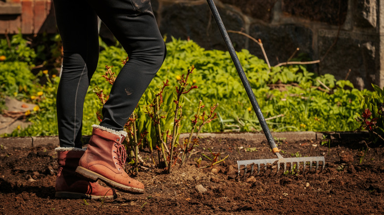 Person raking dirt in a landscaping bed
