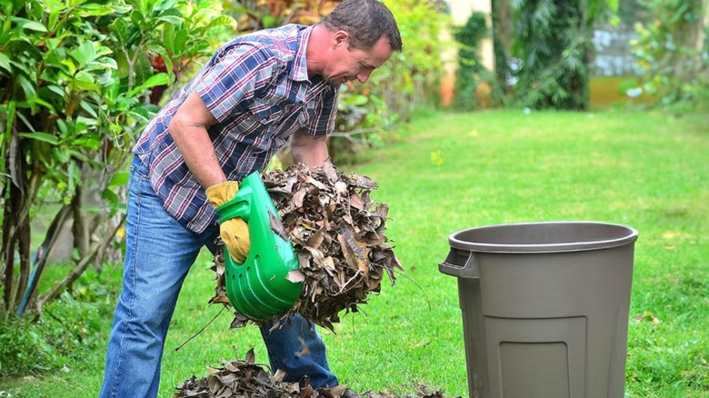 Person using the Gardease Releaf Leaf Scoops in their lawn.