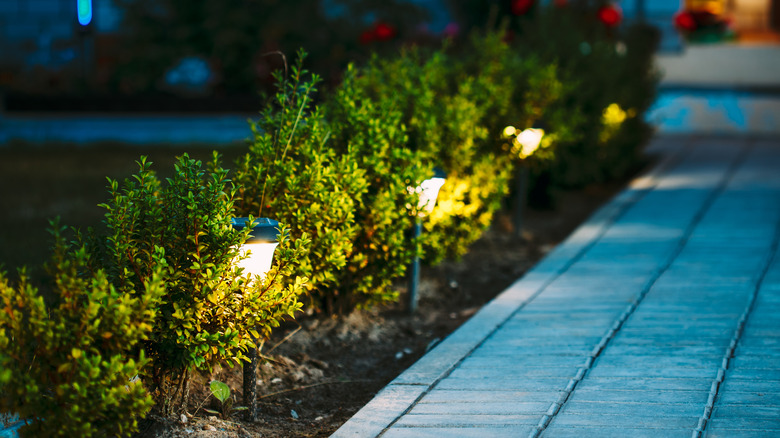 Solar stake lights along garden path
