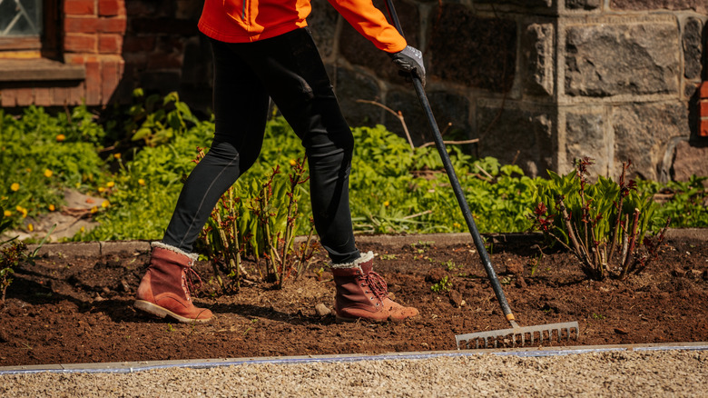 A person prepping a landscaping bed with a metal rake