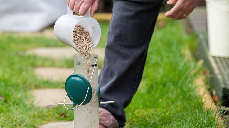 Person filling a tube feeder on the ground with seeds