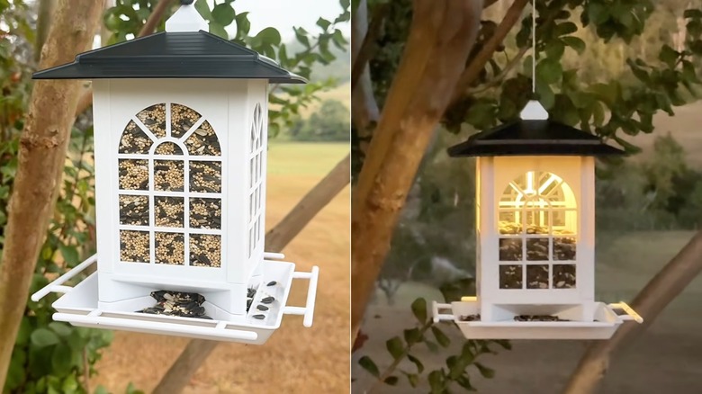 Side by side Birdream Solar Bird Feeders with one lighted