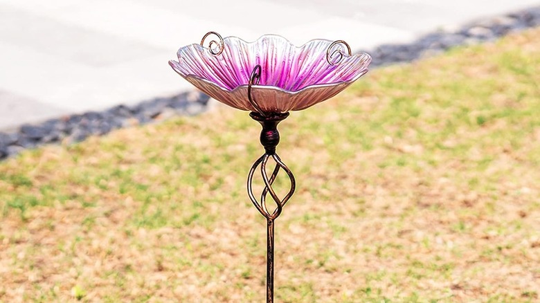 A Mumtop glass birdbath in a yard.