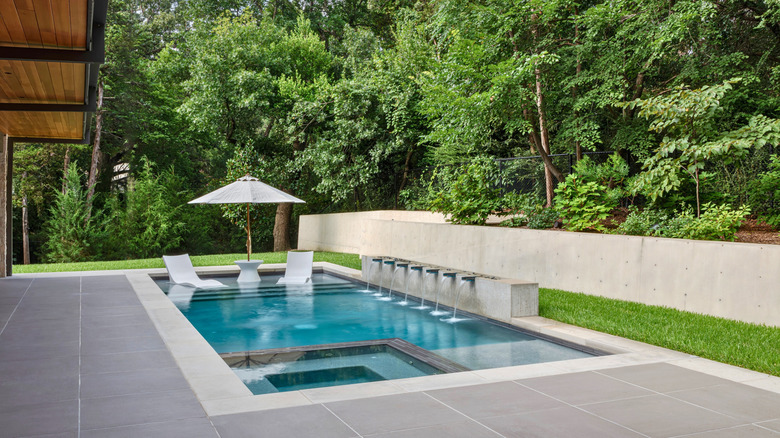 A modern backyard with greenery and a plunge pool with a tanning area and waterfall features